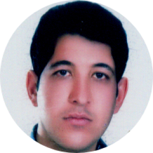 مهدی افضلی