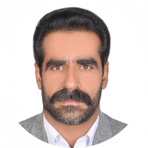 محمدامین حسین بر