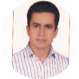 پارسا داوری