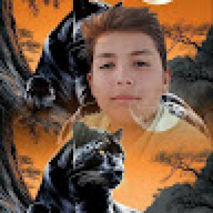 محمد داداشی