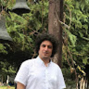 Mohammad Javad Nasrian