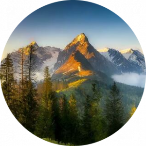 سیاوش یدالهی