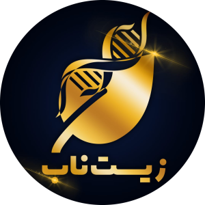 احمد حاجی زاده