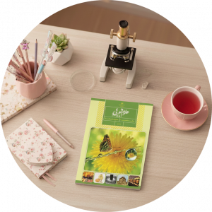 سیده فهیمه نجم الهدی