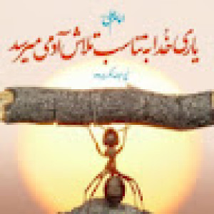 محمدرضا رجبیان