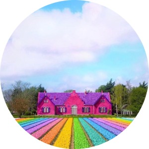 پریسا مرادی  مرادی