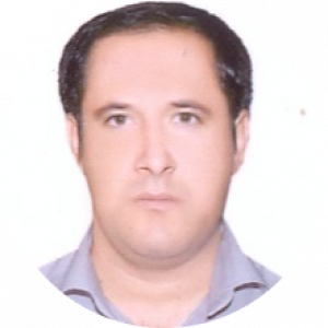 سید حسن مهدویان