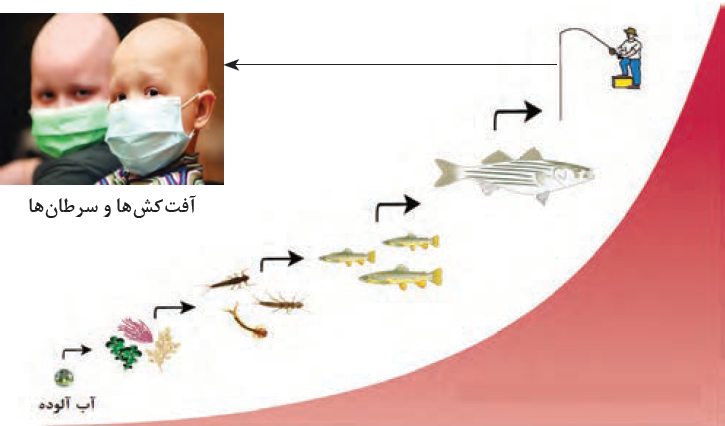 آفت کش ها و سرطان ها