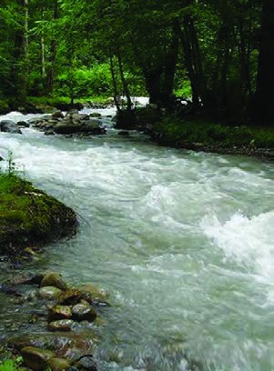 رودخانه