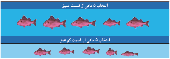 انتخاب 5 ماهی از قسمت عمیق - انتخاب 5 ماهی از قسمت کم&zwnj;عمق 