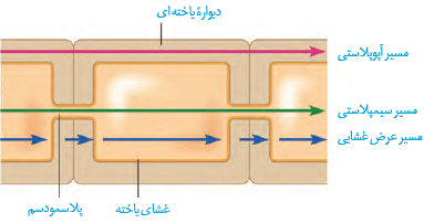 پروتئین تسهیل کننده عبور  آب در غشا