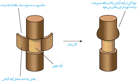 پروتئین تسهیل کننده عبور  آب در غشا