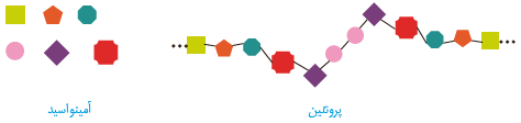 آمینو اسید واحد ساختاری پروتئین است.