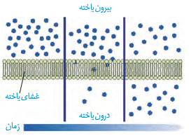 انتشار ساده مواد یاخته