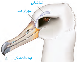 (تنظیم آب در ماهیان آب شیرین (الف) و آب شور (ب