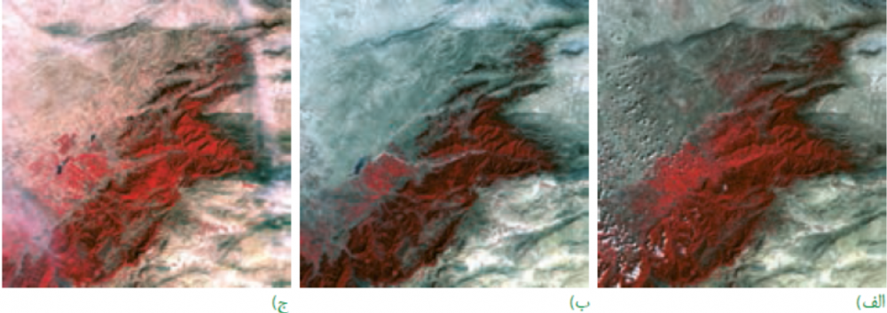 جنگل&zwnj;زدایی در ایران