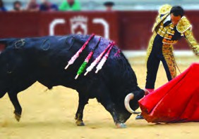 hurting the animal