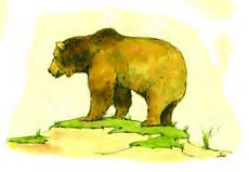 bear