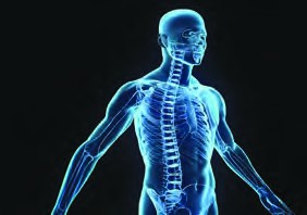 Our body is a wonderful system.