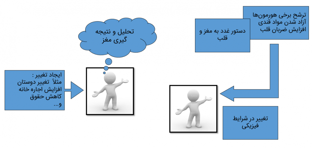 مراحل ایجاد استرس