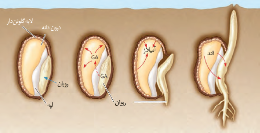 143 1