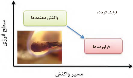 سطح انرژی واکنش دهنده&zwnj;ها و فراورده&zwnj;ها در یک فرایند گرماده