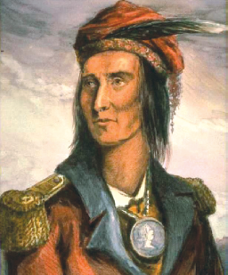 نگارهٔ تکومسه $(Tecumseh)$،&nbsp;رهبر جنگجوی قبایل سرخ پوست که در برابر پیشروی سربازان آمریکایی مقاومت بسیاری کرد (اوایل قرن 19 م).