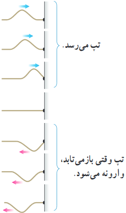 طرحی از پیشروی و بازتاب تپ عرضیِ 