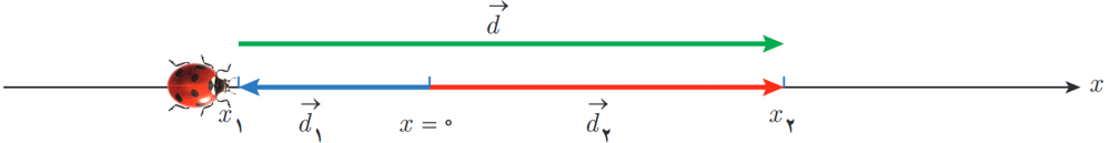 سرعت متوسط کفش دوزک