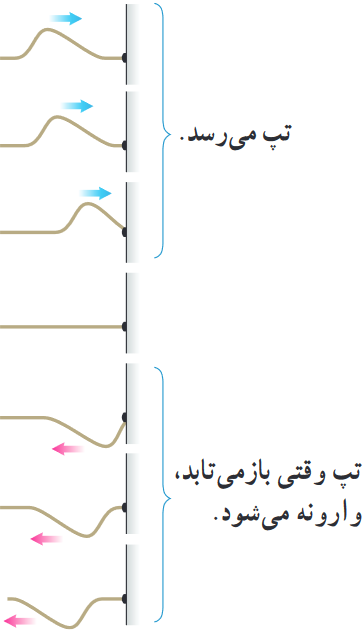 طرحی از پیشروی و بازتاب تپ عرضیِ 