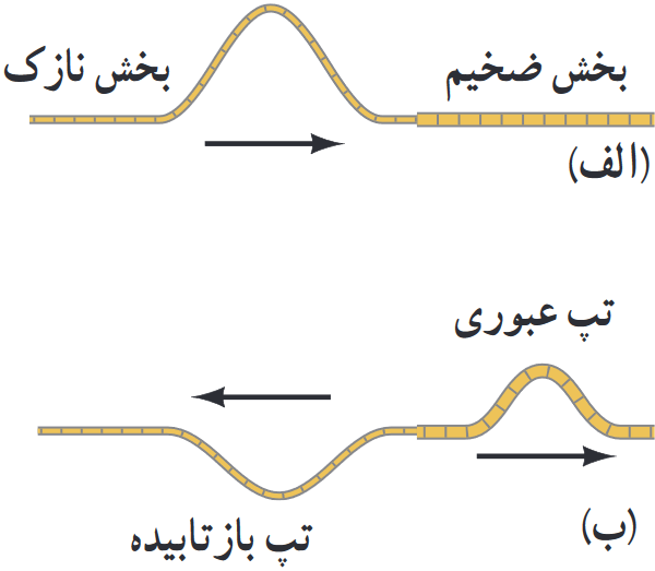 الف) تپ فرودی از سمت چپ طناب وارد بخش ضخیم&zwnj;تر آن می&zwnj;شود. ب) بخشی از آن از مرز عبور می&zwnj;کند و بخشی باز می&zwnj;تابد