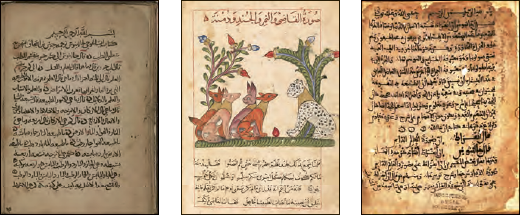 در جهان اسلام نهضت گستردهٔ ترجمه به راه افتاد و کتب و رساله&zwnj;های یونانی، سریانی، هندی و ایرانی ترجمه شدند.