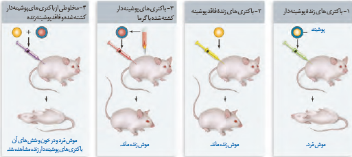 آزمایشات گریفیت و نتایج آن