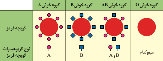 مبنای گروه خونی