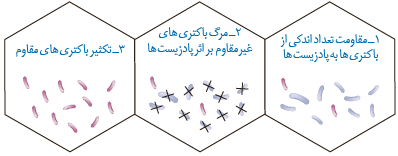 چگونگی مقاوم شدن باکتری&zwnj;ها به پادزیست
