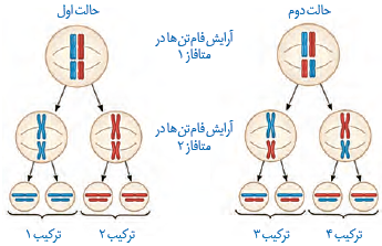 نحوۀ توزیع فام تن&zwnj;ها طی کاستمان