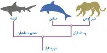  نیای مشترک و گونه&zwnj;های خویشاوند