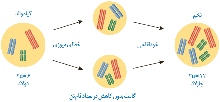 چگونگی تشکیل گیاه چارلاد از گیاه دولاد