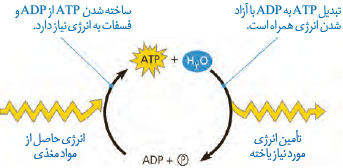 روش&zwnj;های ساخته شدن $ATP$