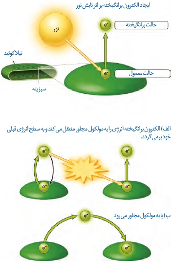  ایجاد الکترون برانگیخته و سرانجام آن&nbsp;