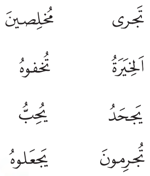 تَجری - مُخلِصینَ - اَلخِیَرَةُ - تُخفوهُ - یَجحَدُ - یُحِبُّ - تُجرِمونَ - یَجعَلوهُ