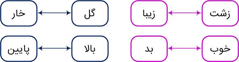 زشت+زیبا+گل+خار+خوب+بد+بالا+پایین