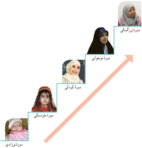 دوره کودکی- دوره خردسالی- دوره کودکی- دوره نوجوانی- دوره بزرگسالیه  
