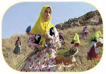 عشایر جنوب ایران