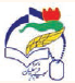بسیج فرهنگیان