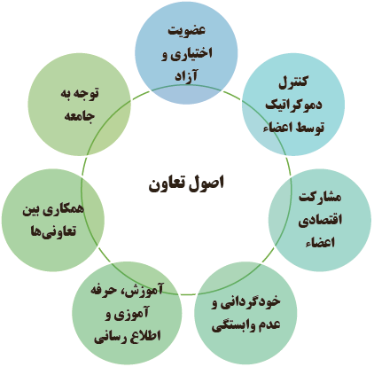 اصول تعاون