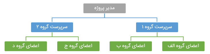 مدیر پروژه