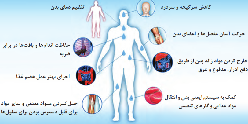 نقش آب در بدن انسان
