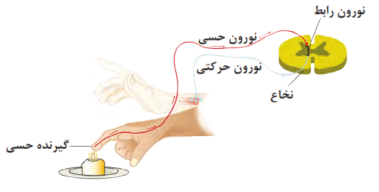 مسیر انعکاس