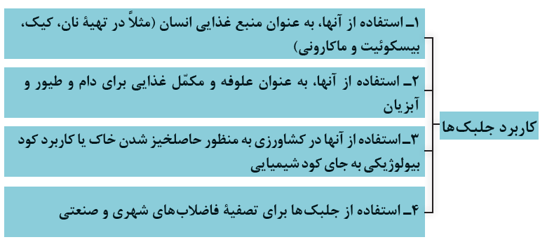 کاربرد جلبک ها